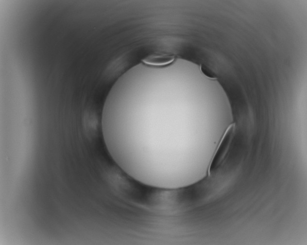 X0000113930084200910091611