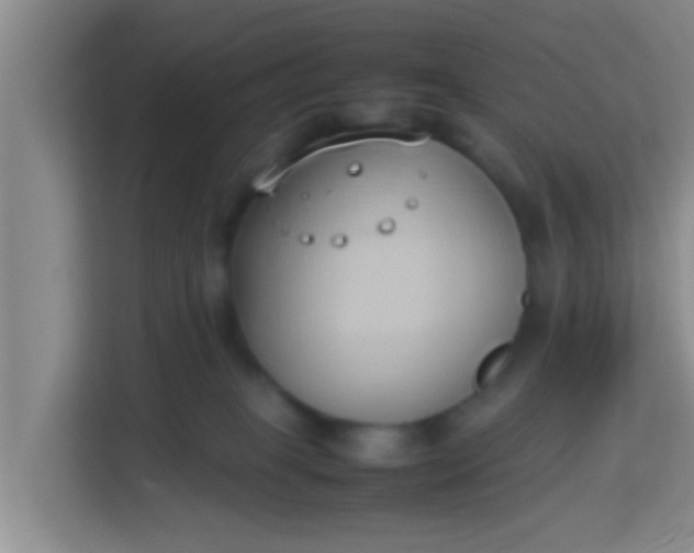 X0000113930085200910091611