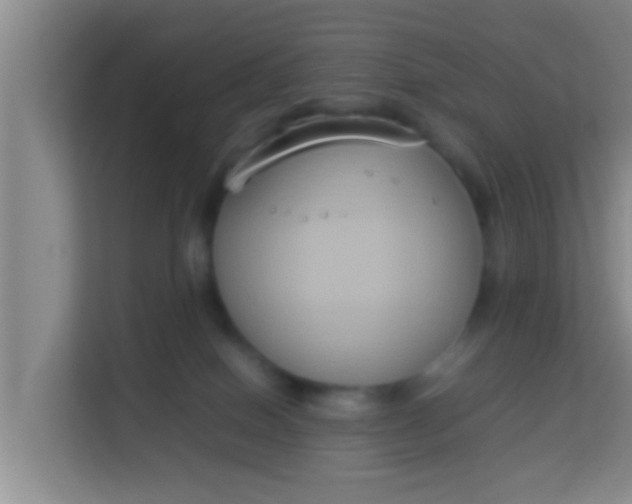 X0000113930086200910091611