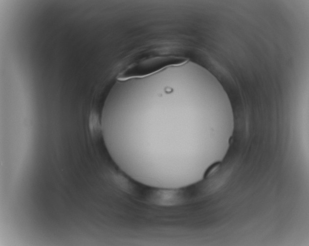 X0000113930089200910091611