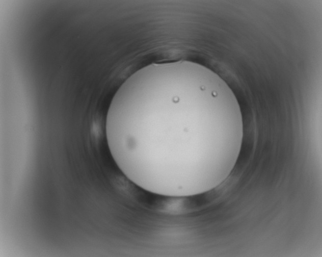 X0000113930090200910091611