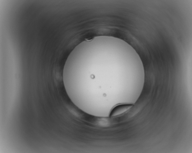 X0000113930091200910091611