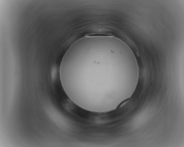 X0000113930095200910091611