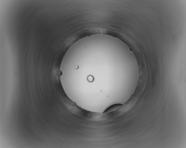 X0000113930096200910091611