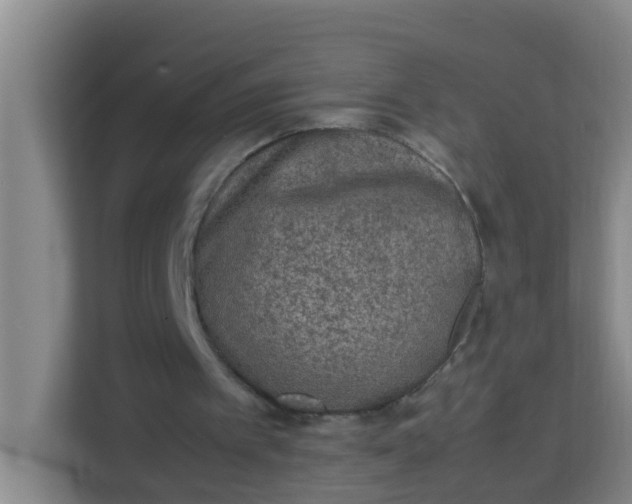 X0000113930097200910091611