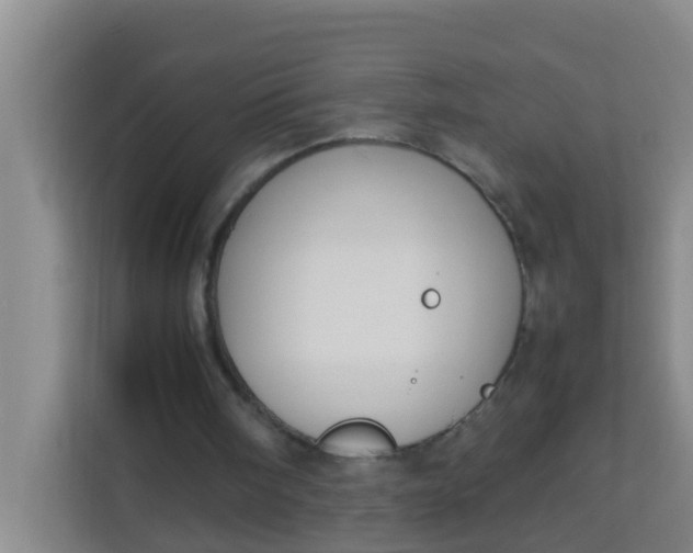 X0000113930098200910091611