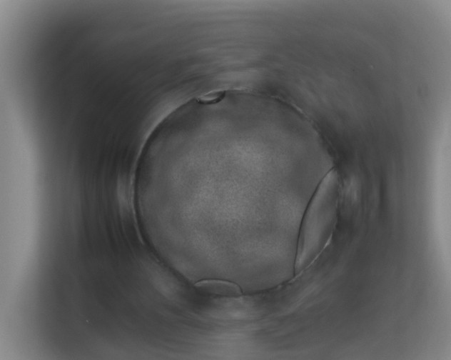 X0000113930100200910091611