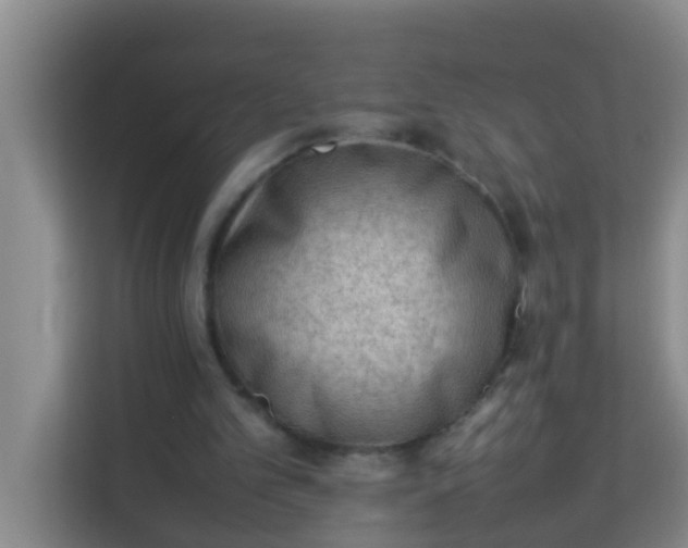 X0000113930101200910091611