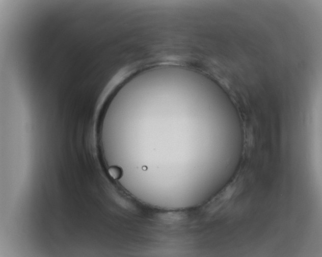 X0000113930102200910091611