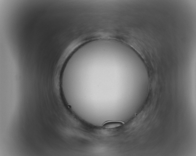 X0000113930103200910091611