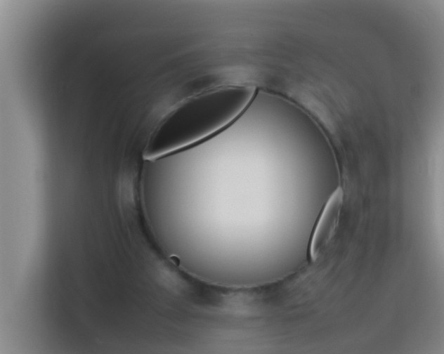 X0000113930105200910091610