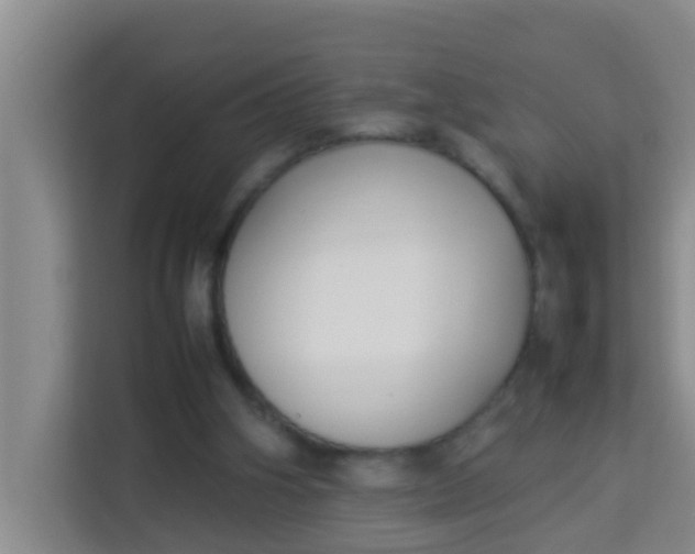 X0000113930106200910091610