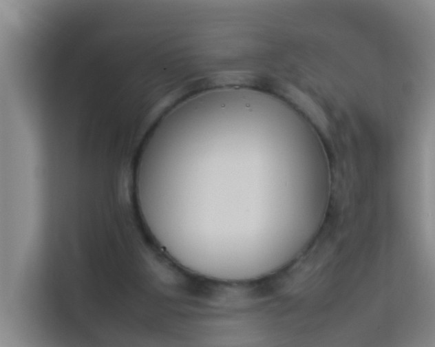 X0000113930107200910091610