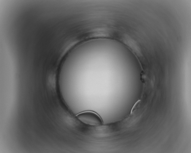 X0000113930108200910091610