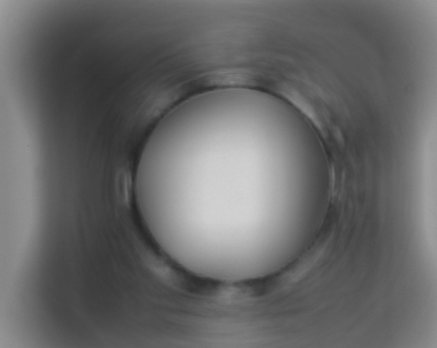 X0000113930109200910091610