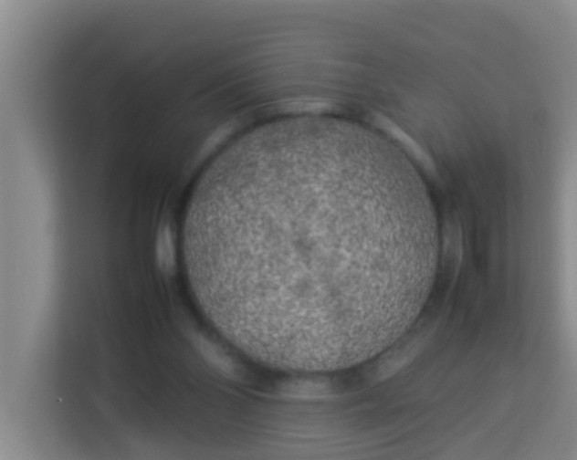 X0000113930110200910091610