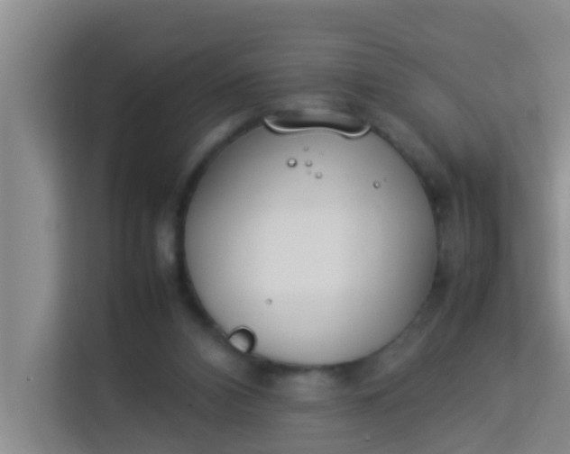 X0000113930112200910091610