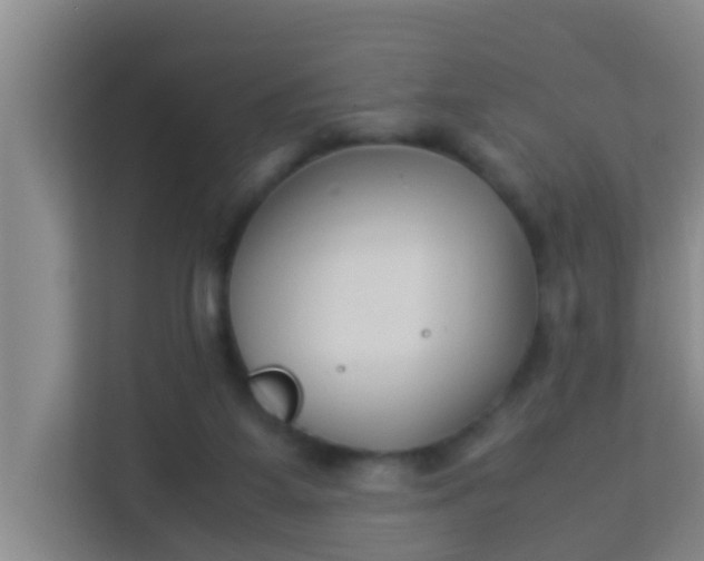 X0000113930115200910091610