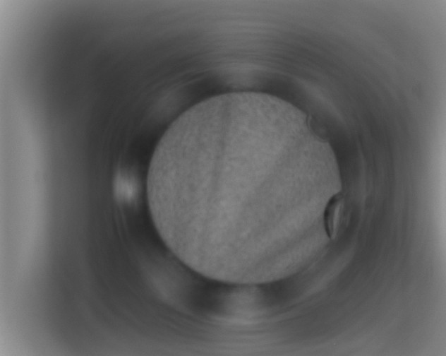 X0000113930124200910091610