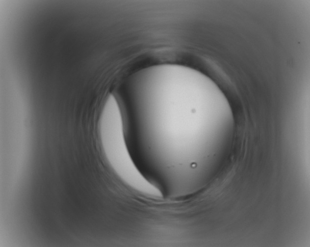 X0000113930125200910091610