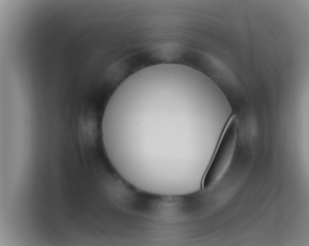 X0000113930128200910091610