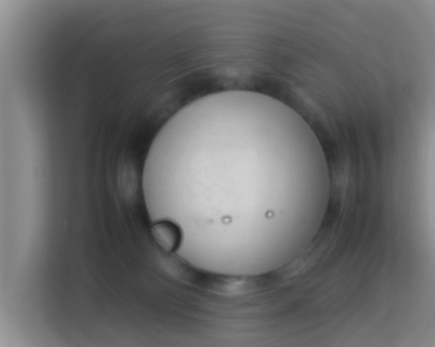 X0000113930130200910091610