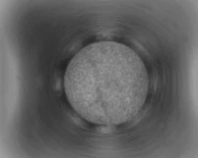 X0000113930134200910091610