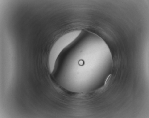 X0000113930136200910091610