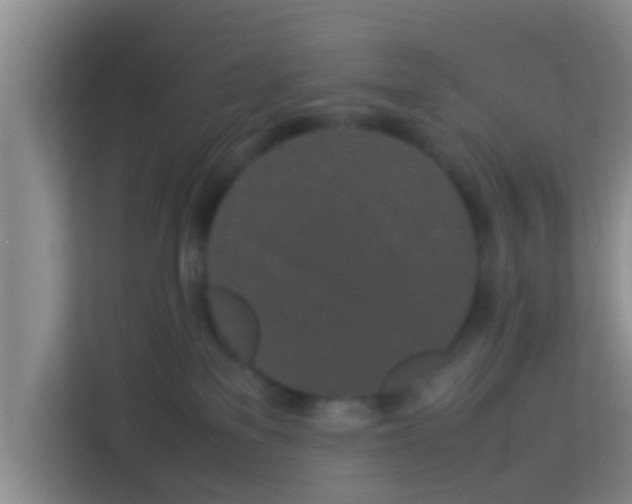 X0000113930137200910091610