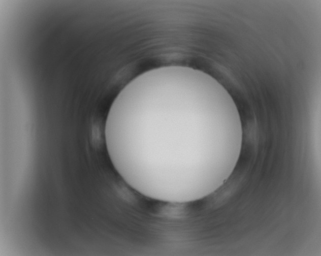 X0000113930138200910091610