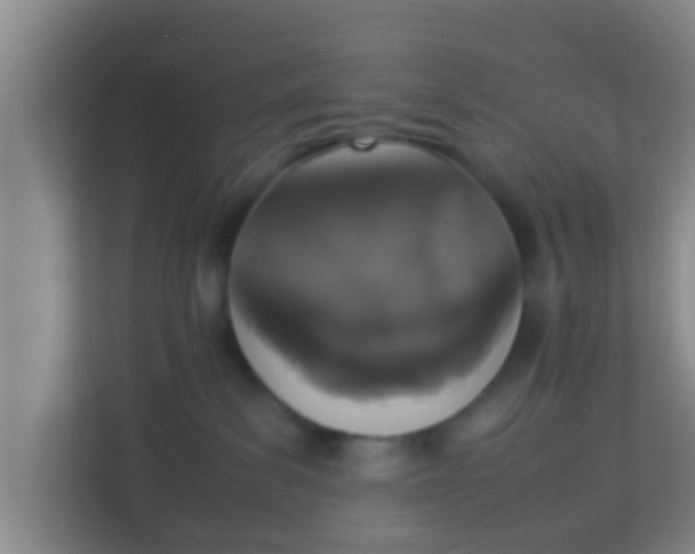 X0000113930139200910091610