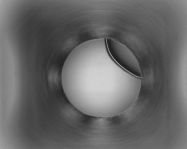 X0000113930140200910091610