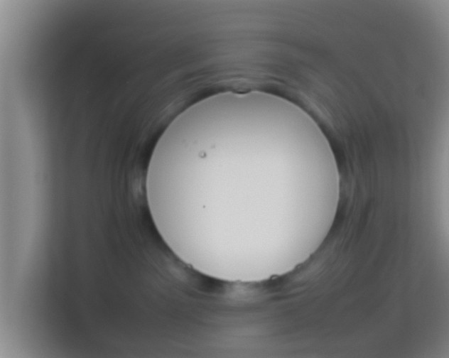 X0000113930141200910091610