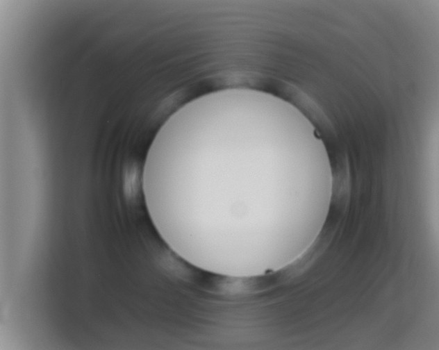 X0000113930142200910091610