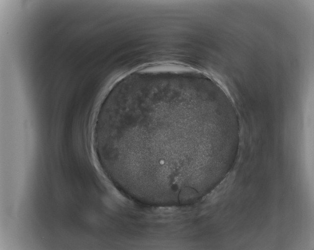 X0000113930145200910091609