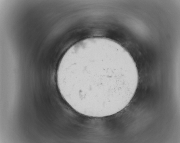 X0000113930146200910091609