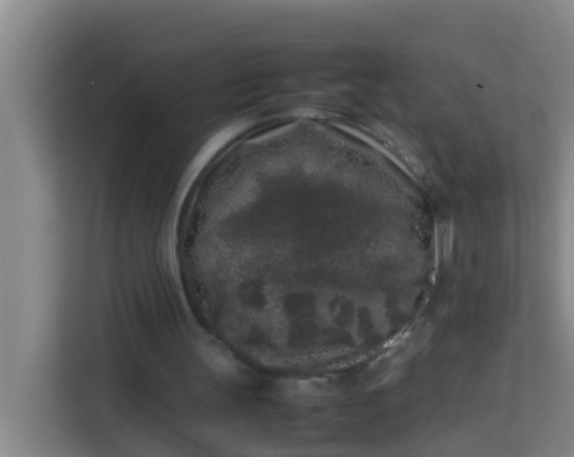 X0000113930147200910091609