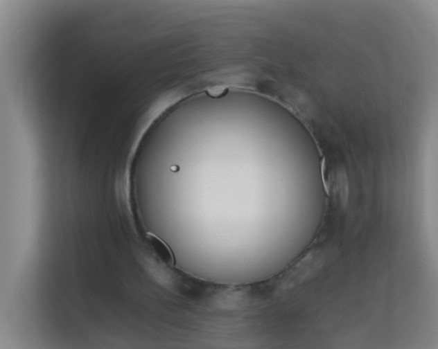 X0000113930148200910091609