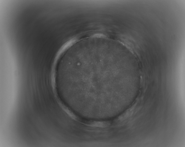 X0000113930149200910091609