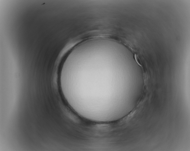 X0000113930150200910091609