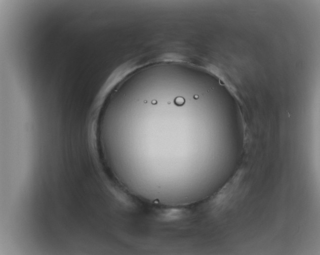 X0000113930151200910091609