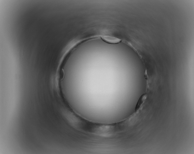 X0000113930152200910091609