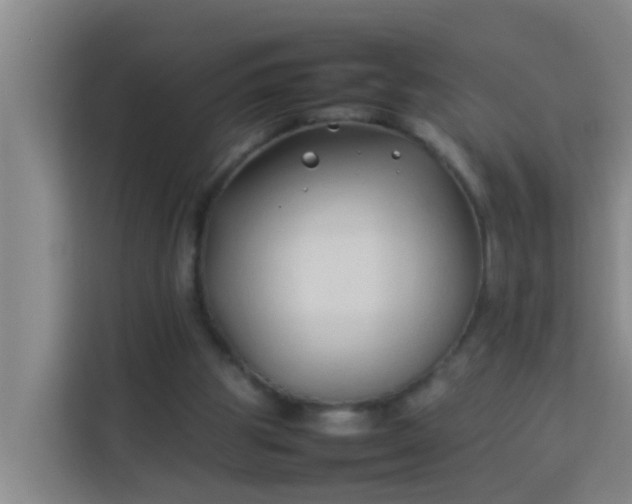 X0000113930153200910091609