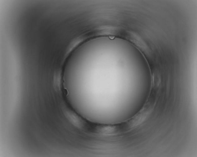 X0000113930156200910091609