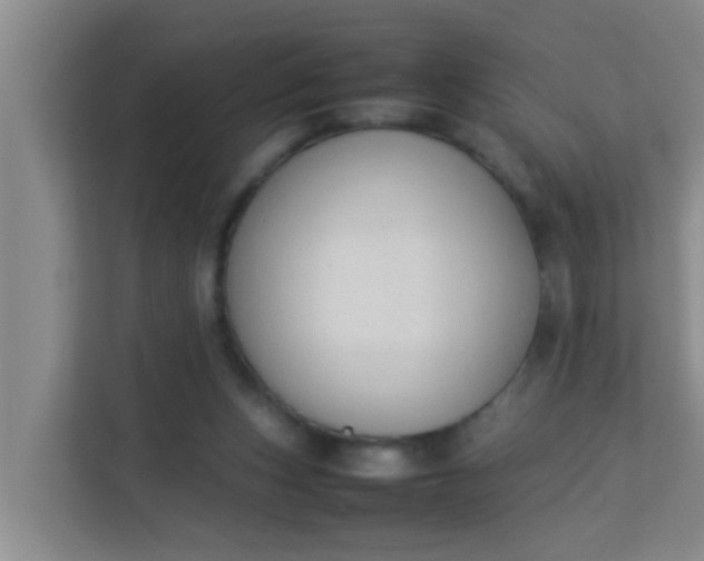 X0000113930159200910091610