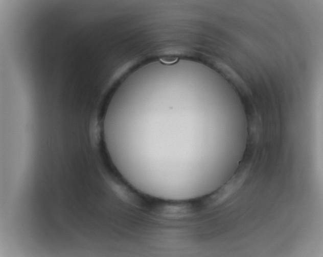 X0000113930160200910091610