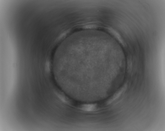 X0000113930161200910091610