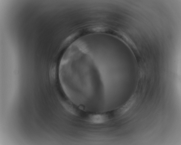 X0000113930163200910091610