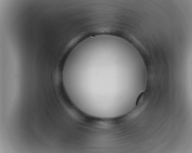 X0000113930164200910091610