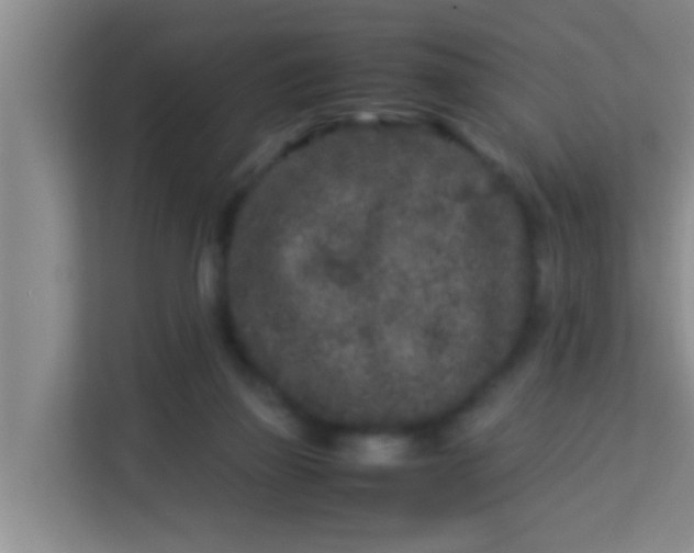 X0000113930165200910091610